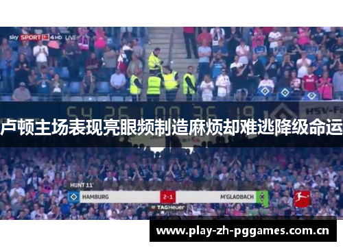 卢顿主场表现亮眼频制造麻烦却难逃降级命运 卢顿主场表现亮眼频制造麻烦却难逃降级命运