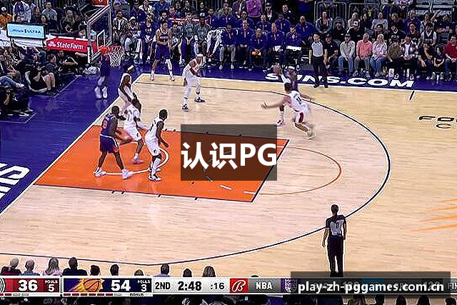 认识PG